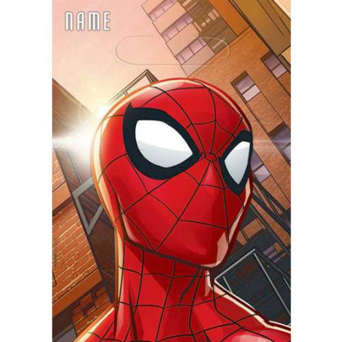 Spiderman Loot Bags - Click Image to Close